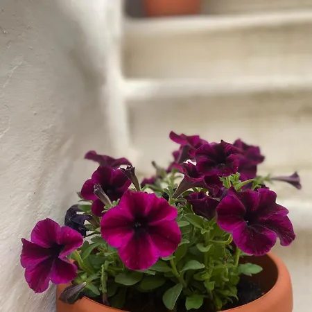 Le Mie Meraviglie Appartamento Martina Franca